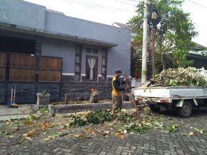 jasa-buang-sampah-penebangan-pohon