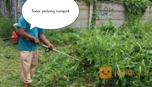 jasa-potong-rumput-ilalang