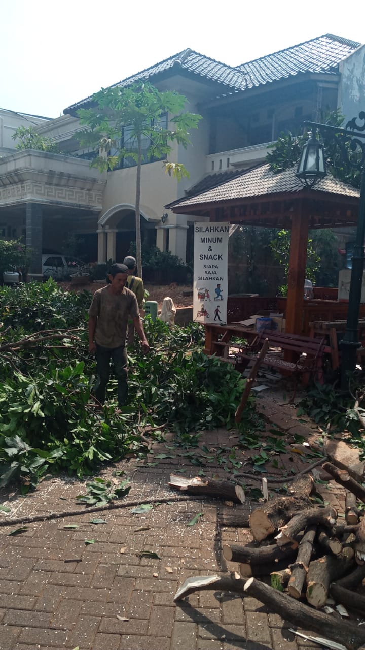 jasa-tebang-jakarta-dan-sekitarnya