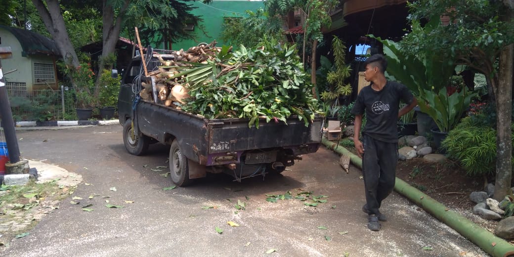 jasa-angkut-sampah-daun