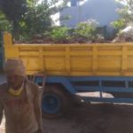 armada-buang-puing-4kubik