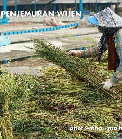 panen-wijen