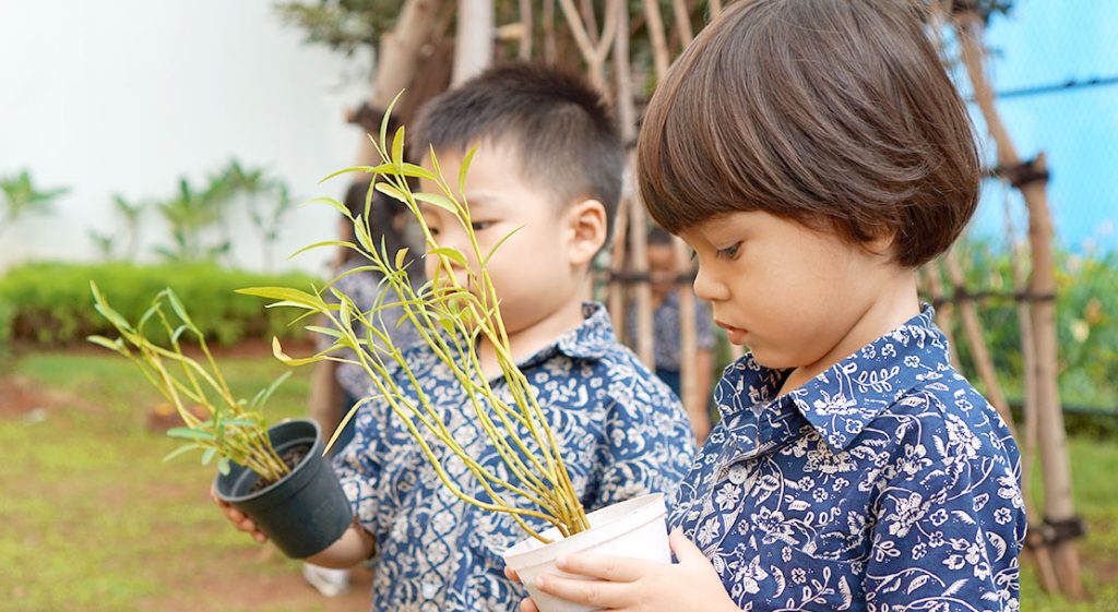 Web Kindergarten Banner 03 1024x561