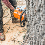 085921402988 Harga Jasa Tebang Pohon Terjangkau