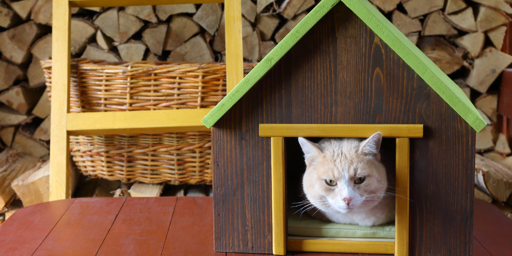 Kucing beristirahat di atas bantal lembut, menikmati kenyamanan di rumah.